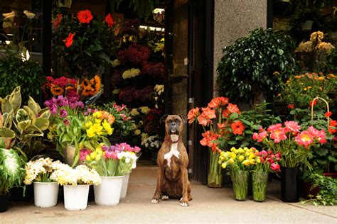 Upper east side nyc recommended restaurants. New York Florist | Flower Delivery by Flowers by Philip