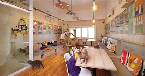 5 Cafe Anjing dan Cafe Kucing Menggemaskan di Bandung dan Jakarta