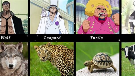 One Piece All Zoan Type Devil Fruits Include Ancient And Mythical Users