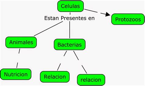 Informatica Ii Mapa Conceptual Celulas