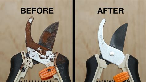 How To Remove Rust From Garden Tools All For Gardening