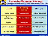 Pictures of Leadership In It Management