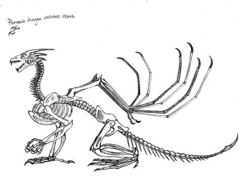 Skeleton Dragon Coloring Pages Sketch Coloring Page