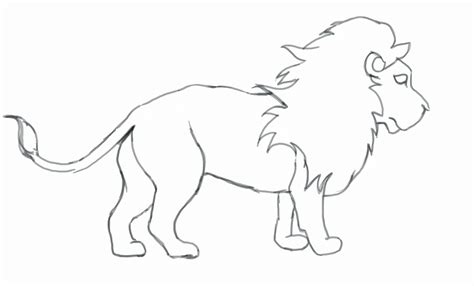 (non toon lion) this one is for a friend, he is planning to make a tattoo of a lion and he asked me for this. How To Draw A Lion | Free download on ClipArtMag