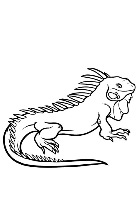 Desenho De Iguanas Para Colorir