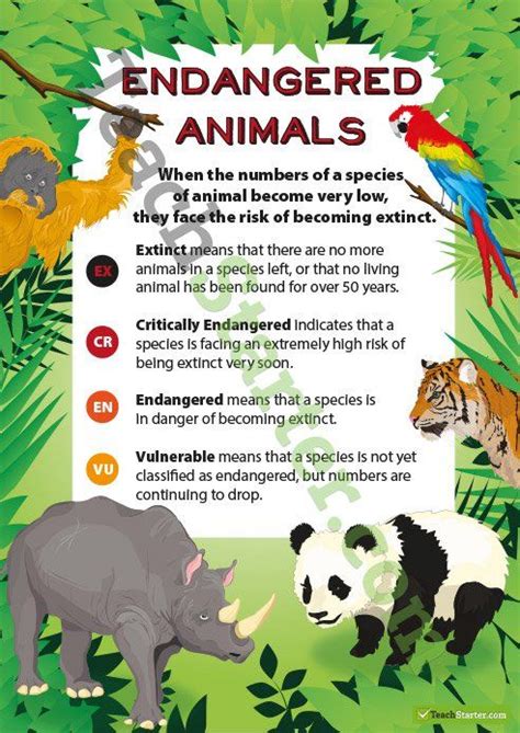 Endangered Animals Classification Poster Endangered Animals Lessons