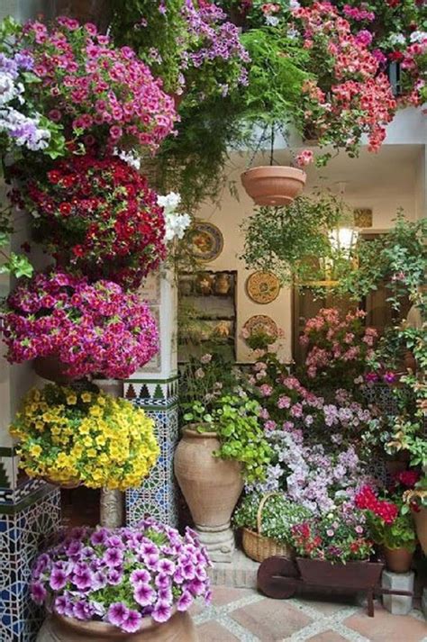 15 Most Beautiful Patio Flower Ideas Youll Love Plants