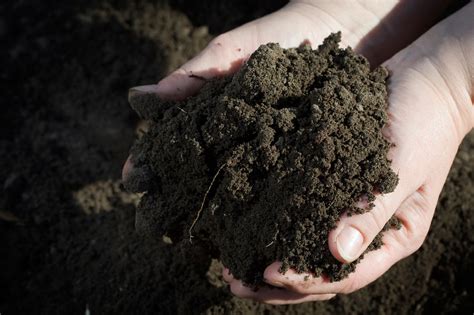 Preparing Your Gardens Soil — Bobs Market And Greenhouses