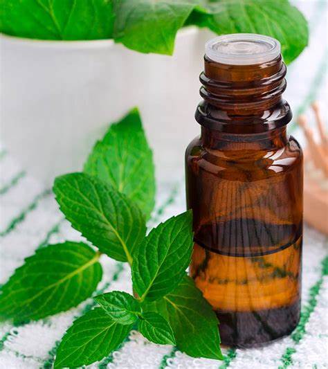 Do-It-Yourself Hair Oils For Different Hair Problems