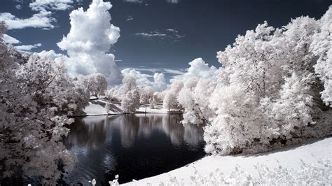 배경 화면 햇빛 나무 경치 간단한 배경 호수 자연 반사 눈 겨울 서리 단순한 못 동결 적외선 구름