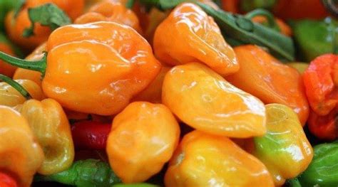 Fruits & Vegetables | Glascock's Produce