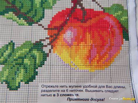 Диета яблоки отзыв Отзыв про Набор для вышивания Искусница "Спелые яблоки": "Эти наборы Отзыв про Набор для вышивания Искусница "Спелые яблоки": "Эти наборы Диета яблоки отзыв