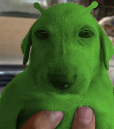 Alien Jose Luis Gnarp Gnarp Geeble Green Alien Animals Know
