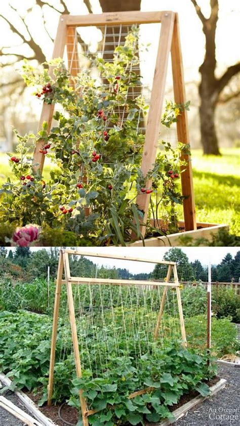 24 Easy Diy Garden Trellis Ideas Plant Structures Artofit