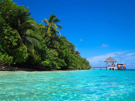 О погоде и отдыхе на Мальдивах в августе: температура воды и воздуха