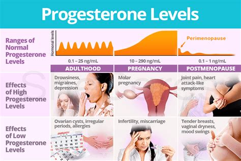 Progesterone Levels Shecares