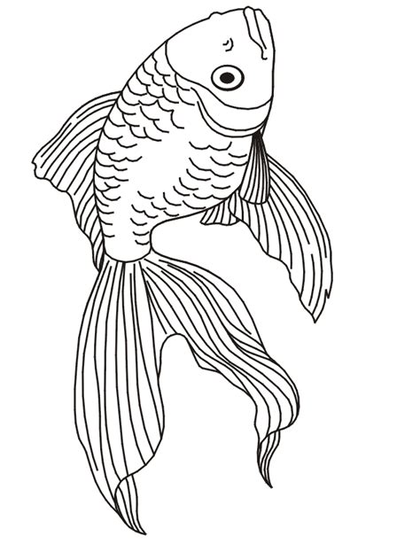 Betta Fish Coloring Page - Coloring Home