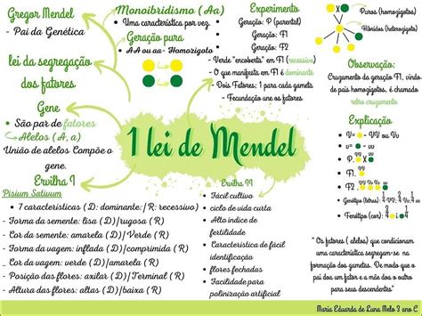 Mapas Mentais Sobre Gregor Mendel Study Maps The Best Porn Website