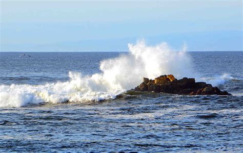 Waves Crashing The Rocks At Pacific Grove Ca Beach C Richard Bauman