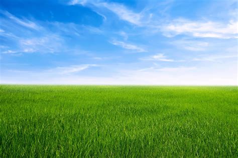 Green Grass Field With Blue Sky Ad White Cloud Nature Landscape