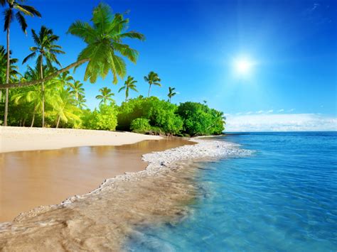 Download Wallpaper 1024x768 Tropical Beach Sea Calm Sunny Day