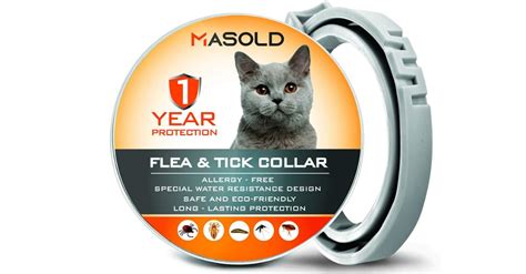 Best Cat Flea Collar Reviews Cat Meme Stock Pictures And Photos