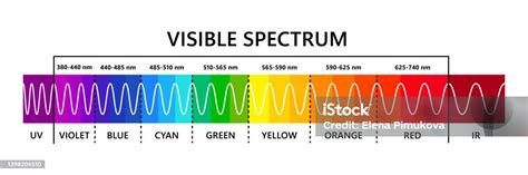 Visible Light Spectrum Infared And Ultraviolet Optical Light Wavelength Electromagnetic Visible