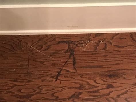 How To Fix Scratches On Engineered Hardwood Floors Flooring