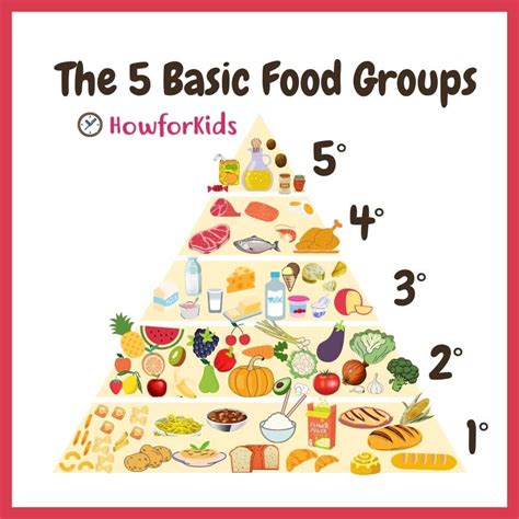 5 Basic Food Groups Pyramid