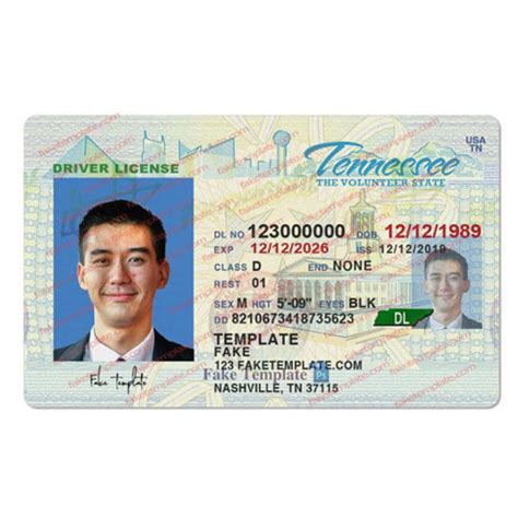 Blank Tennessee Drivers License Template Fake Template