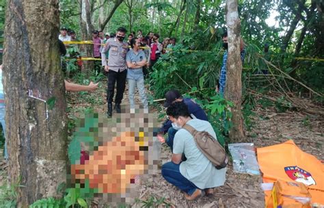 Warga Digegerkan Penemuan Mayat Perempuan Di Kebun Karet Luka Gorok Di