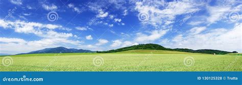 Panoramic Landscape View Of Green Fields And Blue Sky Stock Photo