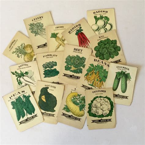 Garden Seed Packs Vintage Lithograph Vegetable Herb Packets