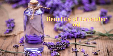 Discover The Magic Of Lavender Oil Uses Benefits And Tips