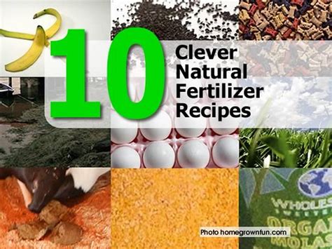 10 Clever Natural Fertilizer Recipes