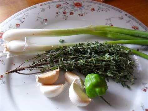 Medicinal Herbs Such As Thyme Scallion Onion Garlic And Pepper