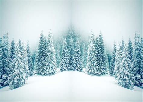 7x5ft Grey Sky Winter Wonderland Snowy Pine Forest Trees Custom Photo