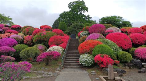 Pixiv is an illustration community service where you can post and enjoy creative work. 岡谷市鶴峯公園へ | はる福祉タクシー｜長野県上伊那郡・伊那 ...