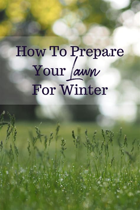 How To Prepare Your Lawn For Winter Lawn Landscape Winter
