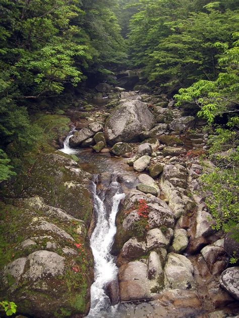 Shiratani Unsuikyo Ravine On Our First Full Day In Yakushi Flickr