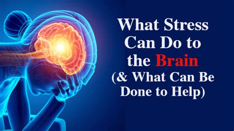 How Stress Affects The Brain And What Can Be Done To Help Womenworking