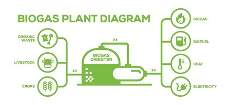 Simple Biogas Plant Diagram Biogas Production Phases Illustrated