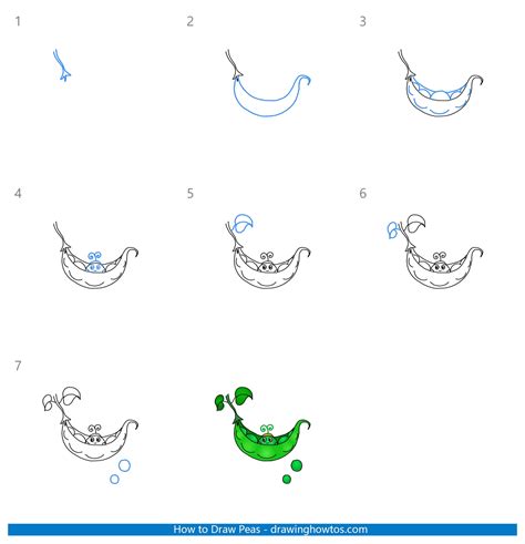 How To Draw Cute Peas Step By Step Easy Drawing Guides Drawing Howtos