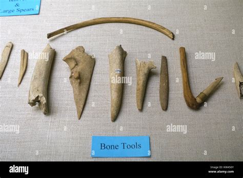 Bone Tools Plymouth Area Artifacts W W Whiting Collection Robbins