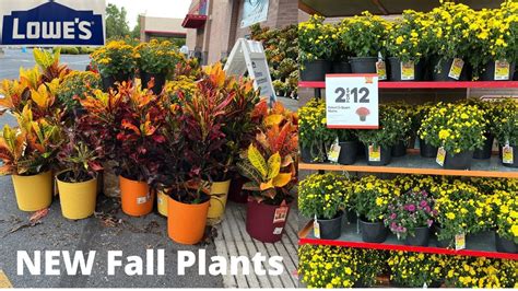 Lowes Garden Center New Fall Inventory Youtube