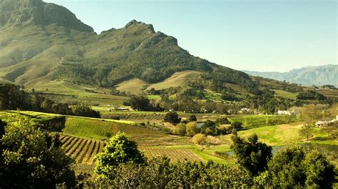 South Africas Napa The Cape Town Winelands