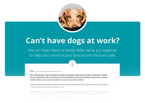 What Companies Allow Dogs At Work