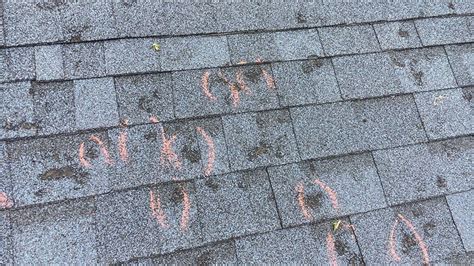 Lawrence Hail Damage Restoration Indianapolis Roofing Company