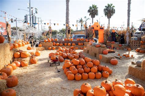 2022 List Of Halloween Pumpkin Patches In Greater Los Angeles Area