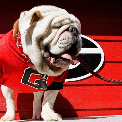 Georgia Football 5 Best Qbs The Bulldogs Will Face In 2014 News